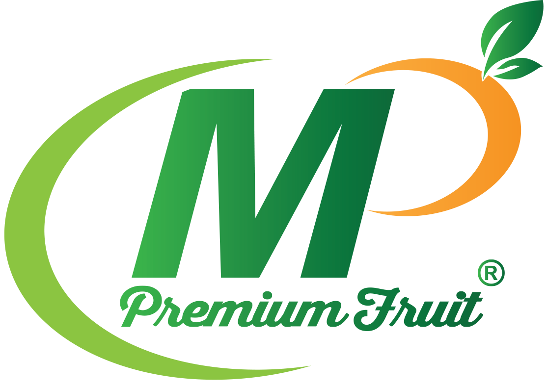 logo-minh-phuong123t-3862